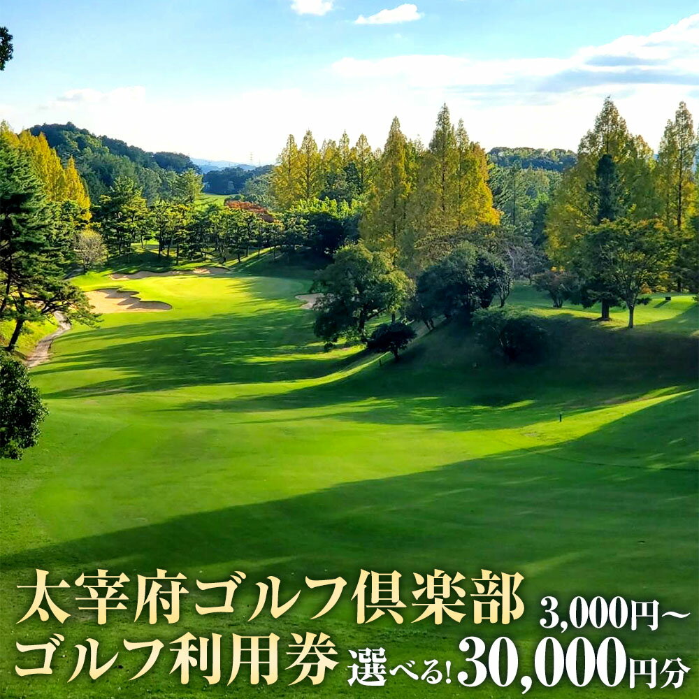 【ふるさと納税】＜選べる枚数＞太宰府ゴルフ倶楽部 ゴルフ利用券 3,000円分～30,000円分 1枚1,000円分 3枚～30枚 チケット ゴルフプレー券 施設利用券 ゴルフ場 商品券 観光 旅行 体験 福岡県 太宰府市 送料無料