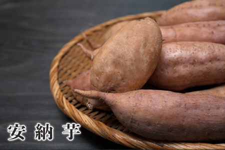 【高知県 大月町産】兼松農園　安納芋　5kg