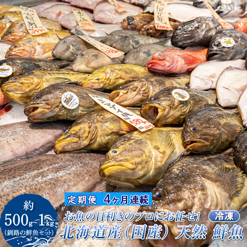 【定期便 4ケ月連続】プロ厳選 北海道産 天然 鮮魚セット ＜冷凍＞ 500g～1kg ｜ 鮮魚ボックス 詰め合わせ 刺身 下処理 切り身 料理に 北海道 釧路町 釧路超 特産品