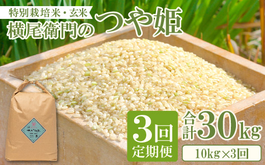 【定期便】横尾衛門のつや姫 玄米 10kg×3回コース【新米 定期便 定期 3回 米 お米 玄米 特別栽培米 低農薬 低化学肥料 ブランド米 つや姫 10kg×3回 合計30kg】