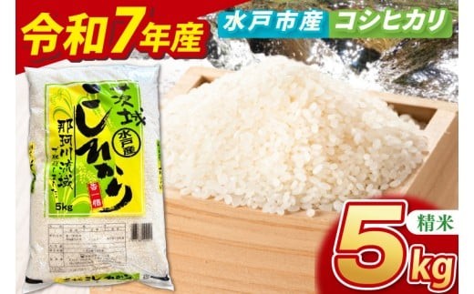 【数量限定】【令和7年産】水戸産コシヒカリ5㎏ 精米【お米 ごはん コシヒカリ おにぎり ごはん 茨城県 水戸市】(NP-3)