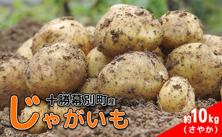 先行予約 じゃがいも 約10kg さやか じゃがいも