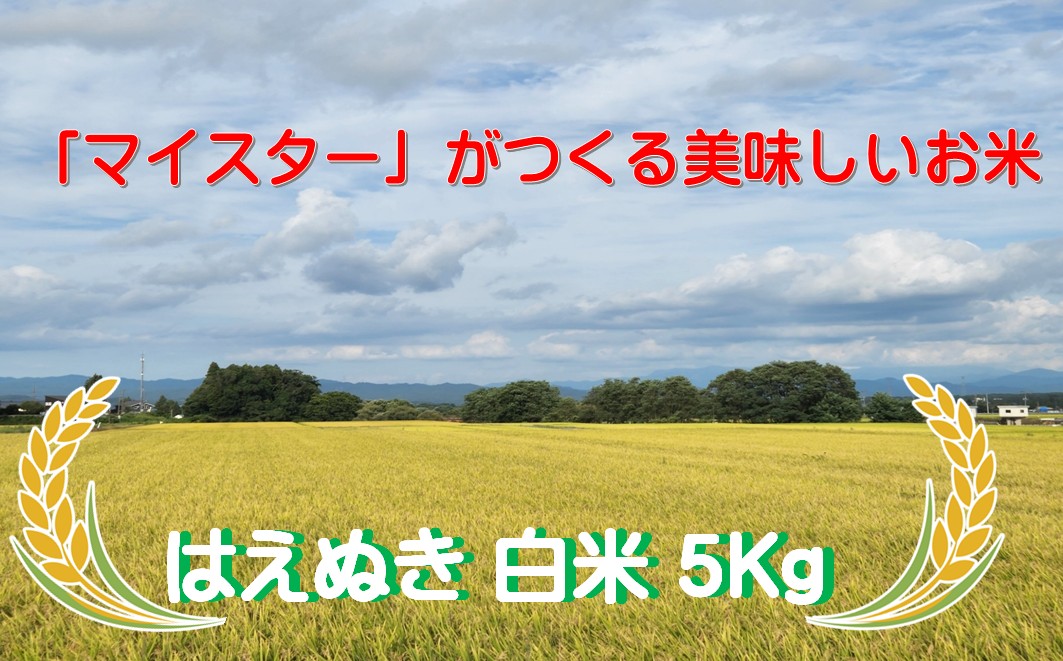 マイスターがつくる　はえぬき　白米　5kg