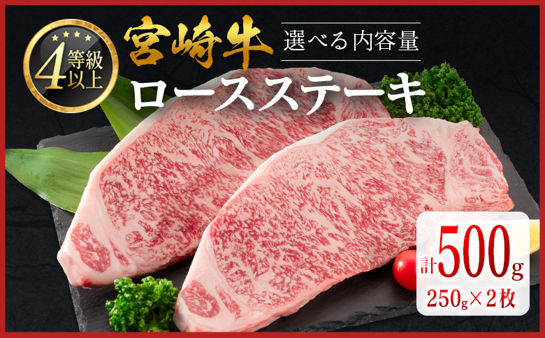 数量限定＜畜産農家応援＞【2026年9月お届け】宮崎牛 ロースステーキ 計500g 肉質等級4等級 国産 人気 おすすめ 期間限定【SC346-09】 ［計500g］2026年9月お届け