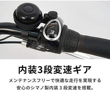 電動自転車【100％完成納品】PELTECH（ペルテック）後チャイルドシート付子供乗せ適用電動アシスト 自転車 20型内装3段 TDN-207LP-8 AH-CH【ブルーグレイ】