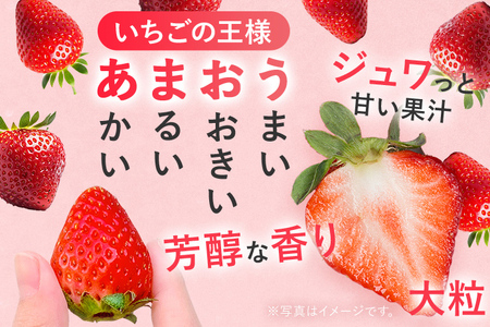 産地直送厳選あまおう 4パックセット（G,2L,2A規格以上）【数量限定】いちご フルーツ 果物 あまおう 約270g×4パック 福岡 苺 イチゴ 【発送時期2025年1月上旬～2025年月4月上旬】