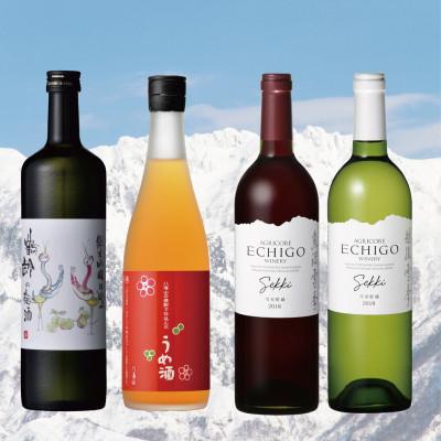 ふるさと納税 南魚沼市 【2025年4月中旬発送】南魚沼の梅酒とワインセット(720ml×2本・750ml×2本)