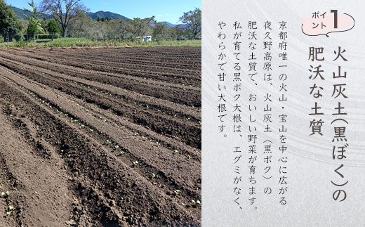 京都・夜久野高原の黒ボクで育った切干し大根140g×2袋【勝信吾のこだわり野菜】 FCDP001