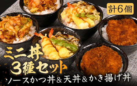 ソースカツ丼 天丼 かき揚げ丼 各2個 (計6個セット) レンジで簡単調理！ミニ丼3種セット！ [A-8405]