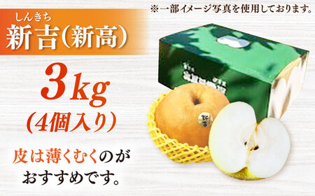【100年続く梨農家直送】【化粧箱入り】新吉（新高）4個入（約3kg） / 梨 なし 伊万里梨 フルーツ 果物&nbsp;/ 佐賀県 / 大川三世代[41AEAB009]