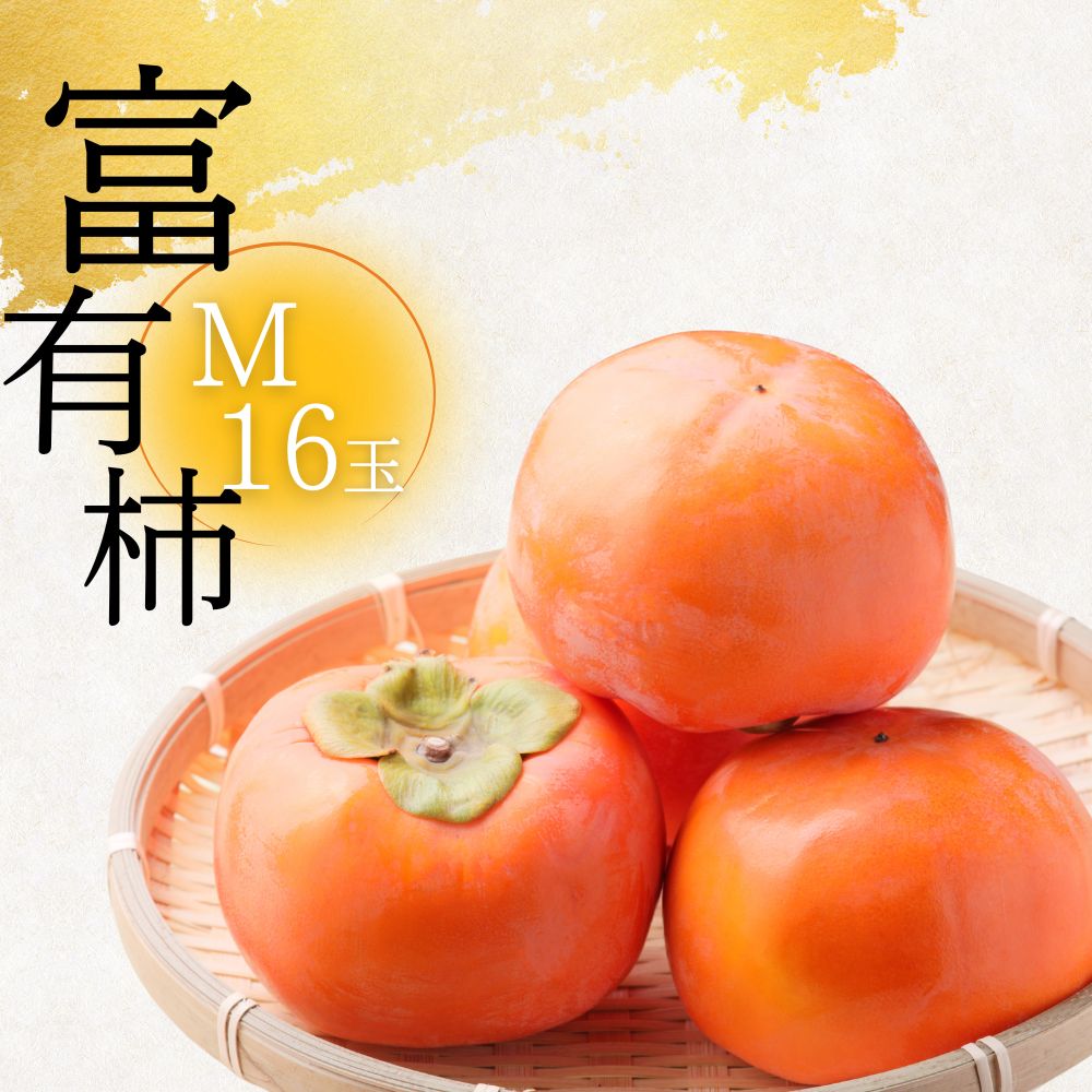 【ふるさと納税】[先行予約]令和7年産《柿の王様》加藤果樹園の富有柿 Mサイズ16個入り 11月下旬〜12月上旬発送予定 [mt2061] ｜かき 富有柿 ふゆうがき フルーツ カキ 果物 くだもの 産地直送 岐阜県 本巣市