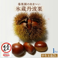 秦栗園のあま～い氷蔵丹波栗 早生玉造2L 1kg【熟成】10月中旬発送