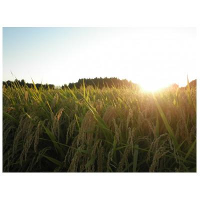 ふるさと納税 花巻市 【令和6年産米】花巻ひとめぼれ(精米)10kg |  | 02
