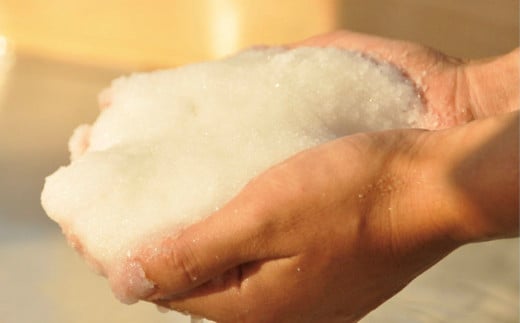 【四国一小さなまち】田野屋塩二郎の塩ごはーん　4袋セット（無洗米）