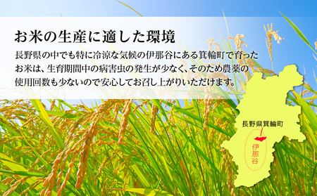【令和7年産】３ヶ月連続お届け 定期便 信州産 コシヒカリ 1等米 「山の恵みの贈り物」 10kg（5kg×2袋）　計30kg （ お米 コシヒカリ 白米 搗きたて米 低温貯蔵米 食品 ) 長野県　箕