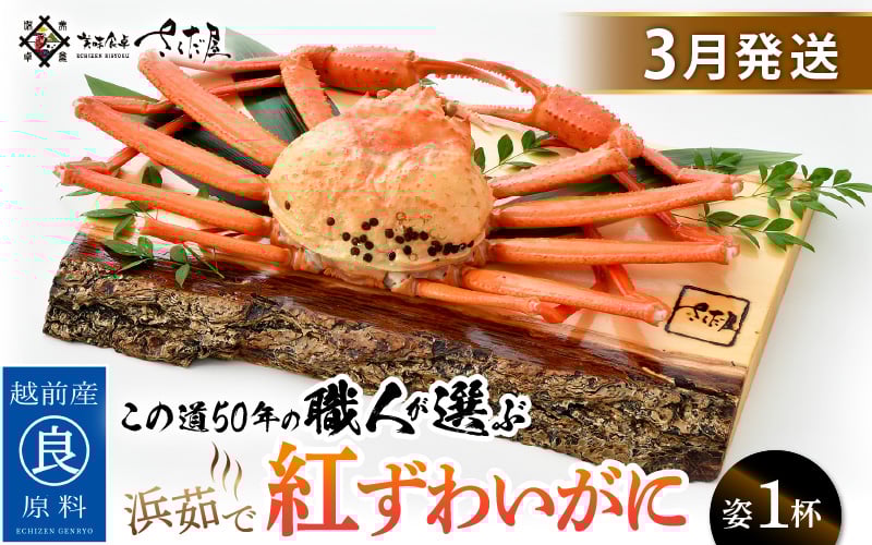 
                  ≪浜茹で≫紅ずわいがに × 1杯 この道50年の職人が選びました！【紅ズワイガニ 紅ずわい蟹 かに カニ 蟹 姿 ボイル 冷蔵 福井県】【3月発送分】希望日指定可 備考欄に希望日をご記入ください [e04-x013_03]
                