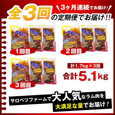 ふるさと納税 豊富町 【定期便 3か月】焼肉ジンギスカンセット【王様のジンギスカン1袋+味付きラムジンギスカン2袋】 |  | 02