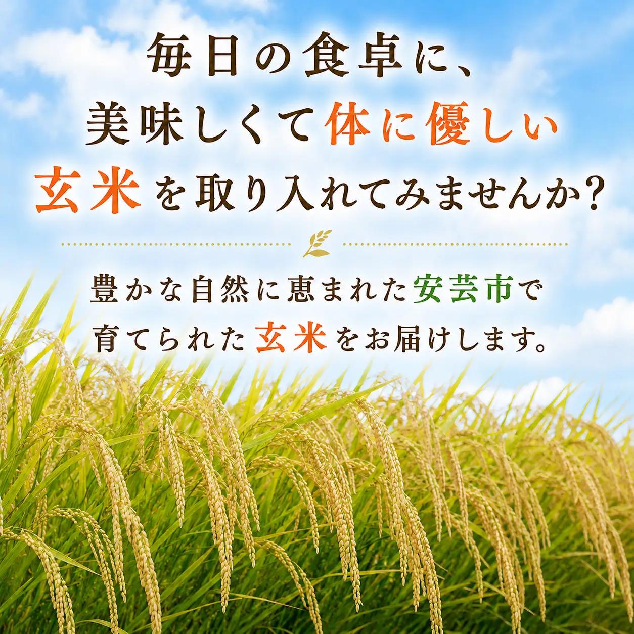 先行受付 令和8年産 玄米 10kg 【こしひかり玄米】