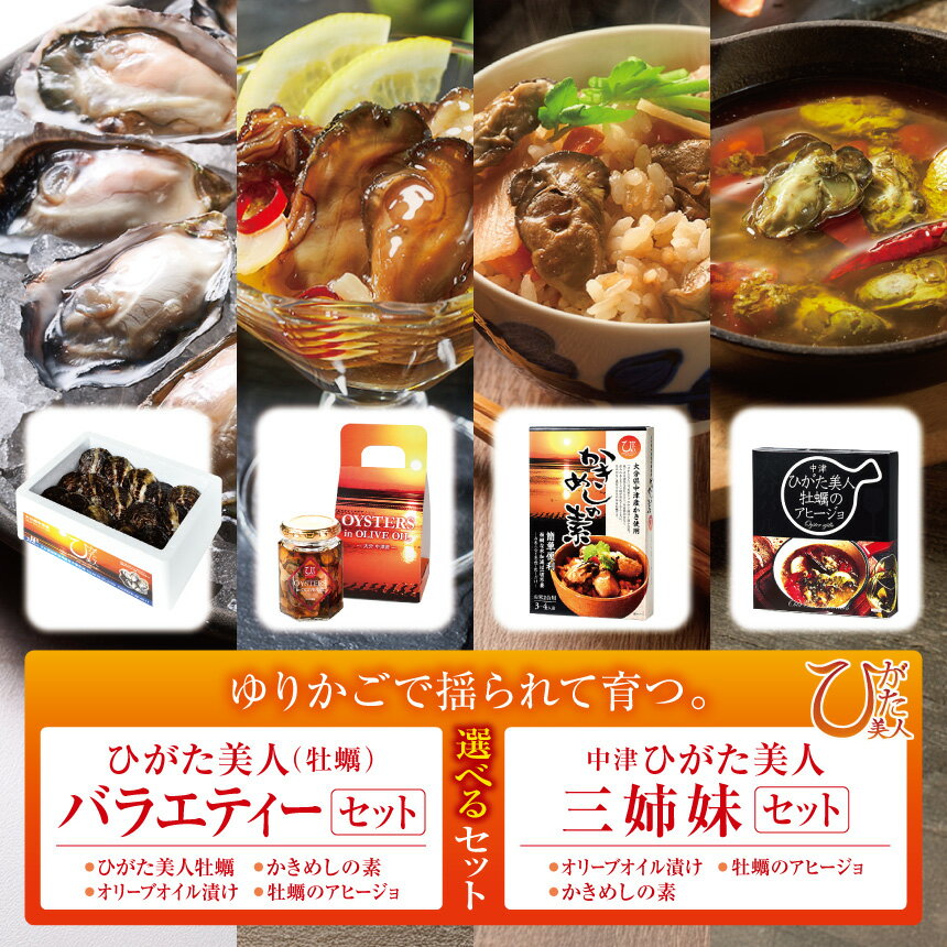 【ふるさと納税】選べる セット内容 ひがた美人(牡蠣)バラエティーセット / ひがた美人三姉妹セット | 牡蠣 かき カキ ひがた美人 かきめし 牡蠣飯 素 かきめしの元 アヒージョ 牡蠣のアヒージョ セット 養殖 冷蔵 大分県産 九州産 大分県 中津市