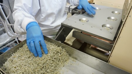 そのまんまえび 10個セット えびせん えび 海老 おやつ おつまみ 美味しい オカベ｜B133