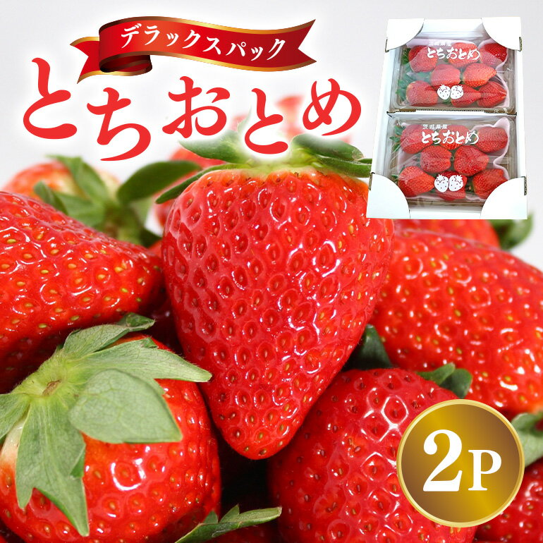 【ふるさと納税】【2026年先行予約】デラックスパック とちおとめ 2p いちご イチゴ 苺 果物 フルーツ くだもの 茨城県 石岡市 A32-020