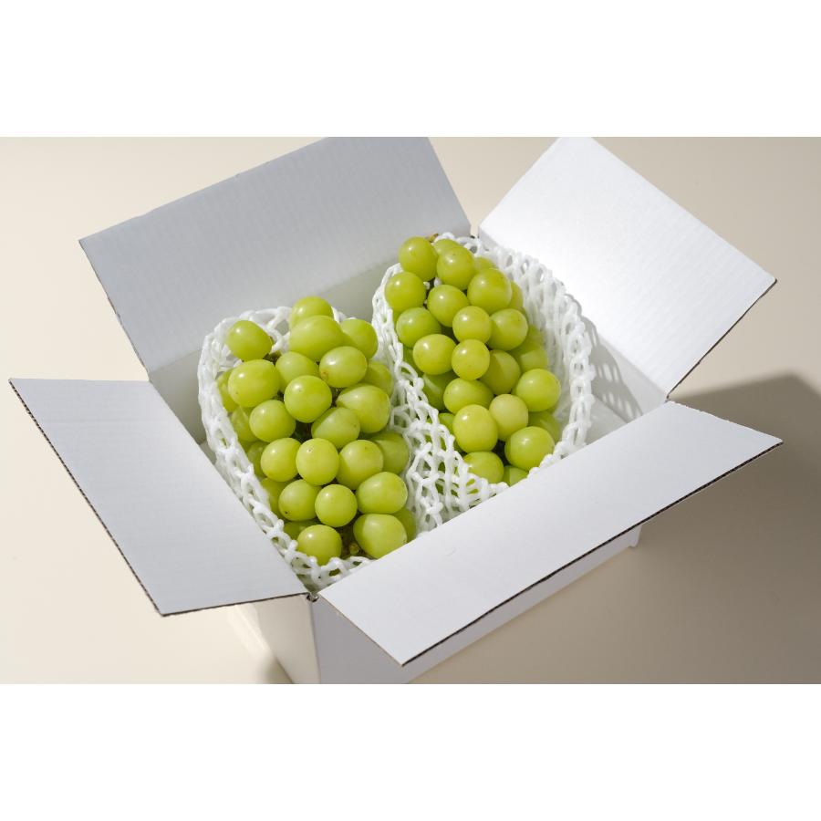 ＜Bonchi＞甲州市産 シャインマスカット 2房入(1.1kg) 自然農法