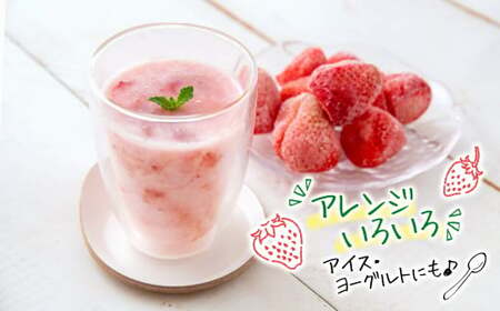 【数量限定】訳あり　完熟冷凍苺やよいひめ1.6kg（800g×2）苺大野屋＜1.2-67＞