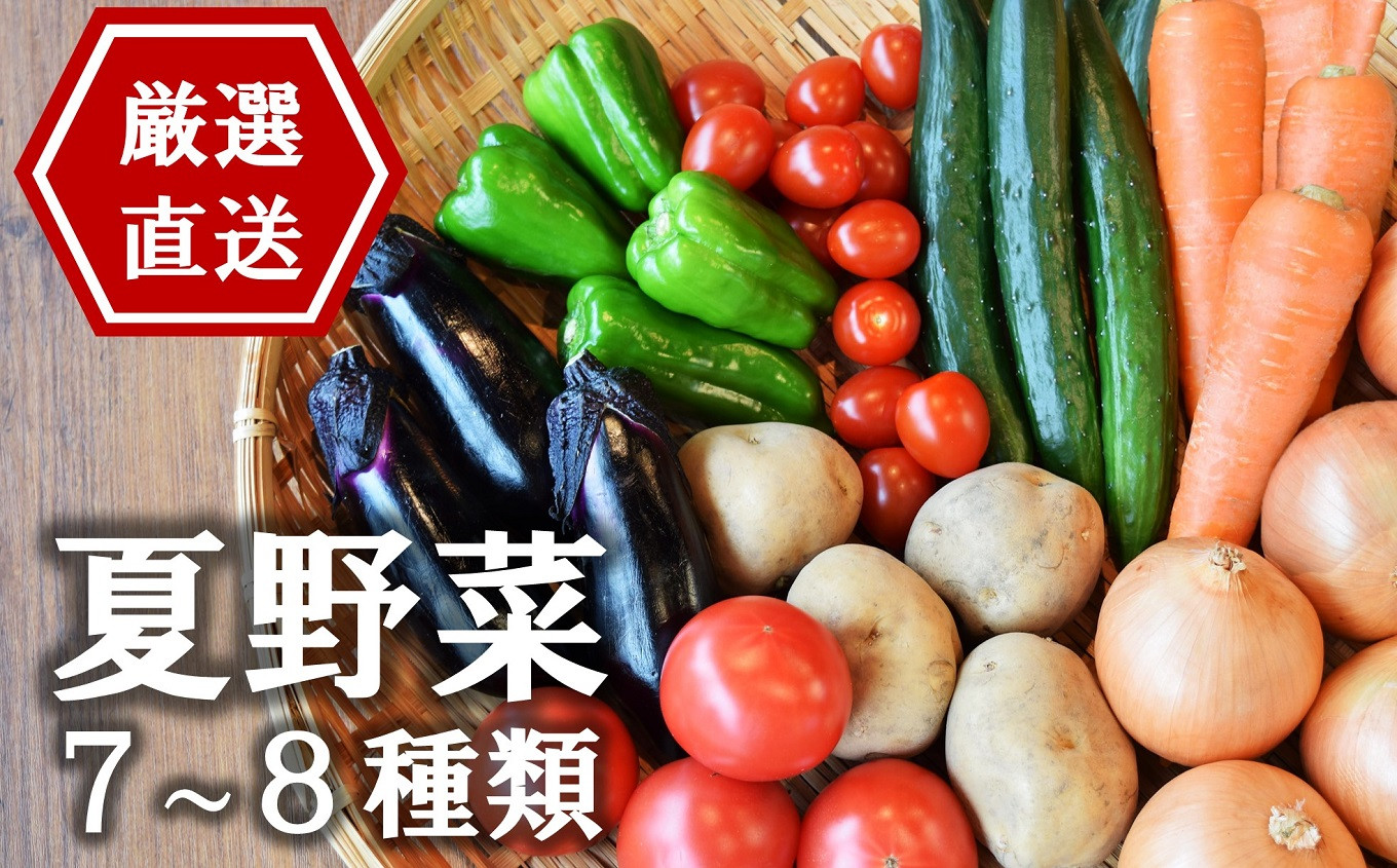 
【先行予約】産地直送！やたらうんめぇ 夏野菜セット 水田環境鑑定士在籍【数量・期間限定】[ZB425]
