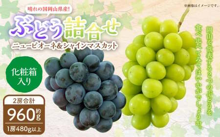 岡山県産 ぶどう詰合 ニューピオーネ 1房・シャインマスカット 晴王 1房 （各480g以上） 化粧箱入り 【2026年8月下旬～10月上旬迄発送予定】 果物 くだもの フルーツ ぶどう ブドウ 葡萄 マスカット 詰め合わせ 詰合せ 岡山 おかやま 国産 冷蔵