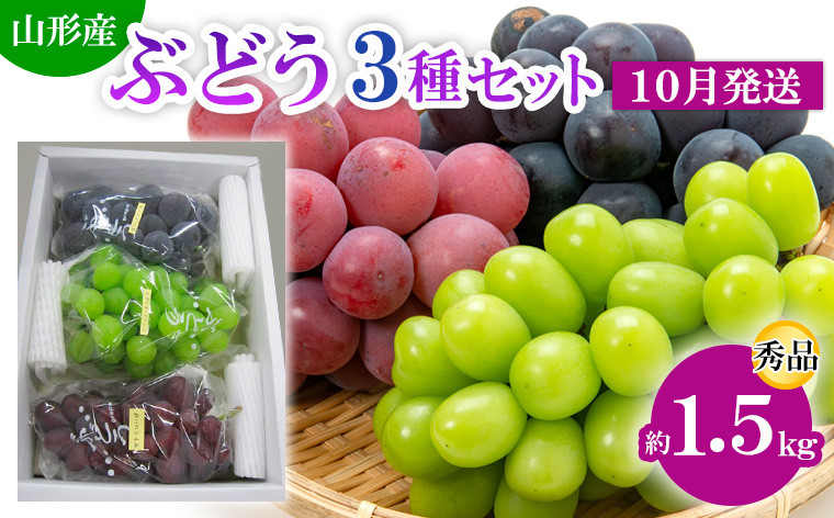 
                  山形市産 ぶどう3種セット 秀 約1.5kg[10月発送] 【令和8年産先行予約】FS24-812 くだもの 果物 フルーツ 山形 山形県 山形市 2026年産
                