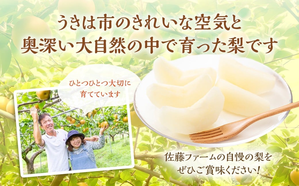 あきづき梨 8玉～13玉 （約5kg）