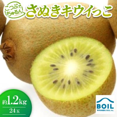 ふるさと納税 香川県 こつぶでちゅるん　さぬきキウイっこ　約1.2kg(24玉)