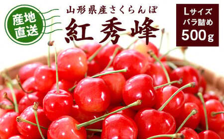 《先行予約》こだわり農家の新鮮 さくらんぼ 500g 2Lサイズ秀品「紅秀峰」 生産者直送 【2025年6月中旬頃～6月下旬頃】　020-A-JF022