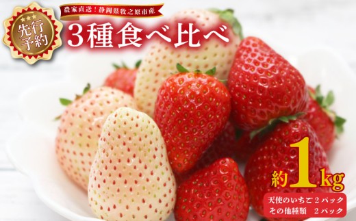 【 2027年1月下旬発送予定 】いちご 3種 食べ比べ セット 1kg 250g × 4パック  天使の苺 スターナイト 紅ほっぺ 章姫 きらぴ香 かおり野 苺 イチゴ フルーツ スイーツ デザート くだもの 果物 ストロベリー 甘い おいしい 国産 新鮮 フレッシュ 贈答用 プレゼント お歳暮 産地直送 農家直送 静岡いちご 静岡苺 牧之原いちご 牧之原苺 静岡県 牧之原市 有限会社ヤマセン