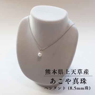 ふるさと納税 上天草市 上天草産 あこや真珠ペンダント(8.5mm珠)