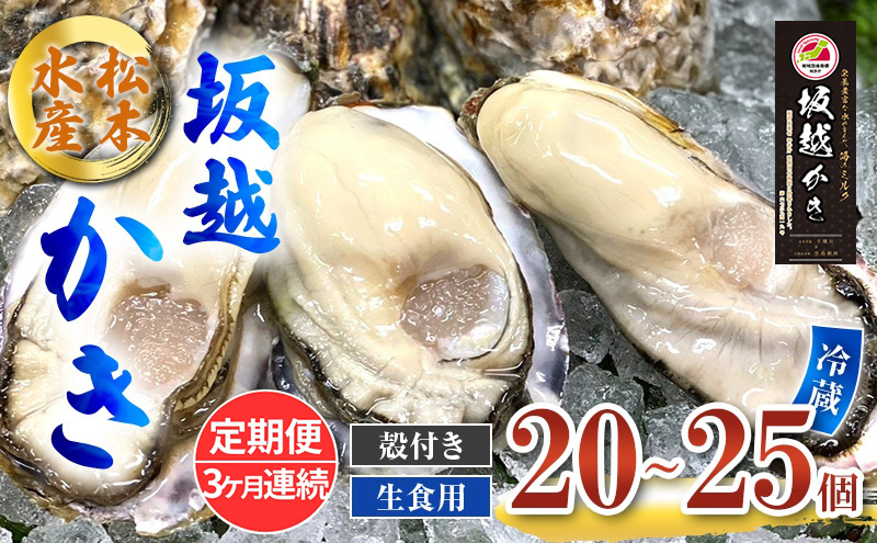 定期便 牡蠣 生食用 坂越かき 殻付き 20～25個《3ヶ月連続お届け》 松本水産 [ 生牡蠣 真牡蠣 かき カキ 冬牡蠣 ]