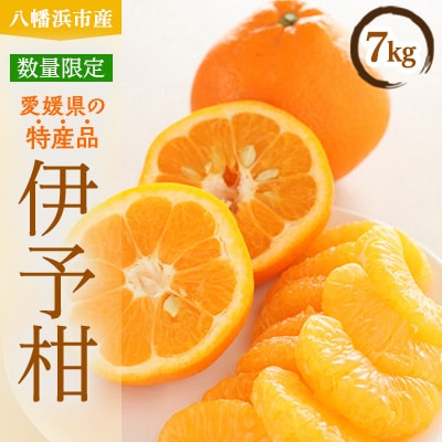 八幡浜産・伊予柑7kg[数量限定!]【C56−9】【1138964】