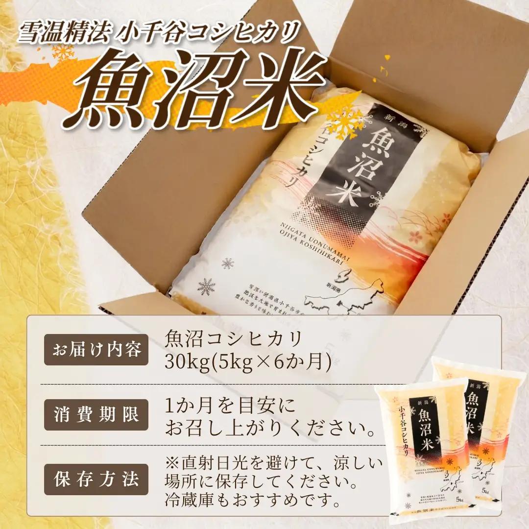 【 先行予約 コシヒカリ 】 魚沼産コシヒカリ 白米 定期便 5kg×6回 計30キロ 令和8年