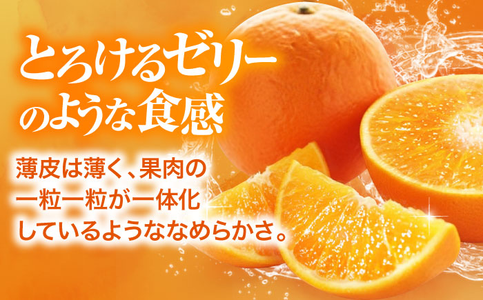 【先行予約】【11月下旬から順次発送】 紅まどんな 秀品 8個から15個入（JA愛媛たいき管内産）　紅まどんな みかん ミカン 紅マドンナ フルーツ 愛媛県大洲市/株式会社フジ・アグリフーズ［AGBA