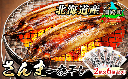 北海道産 真いか 一夜干し 2杯×6個セット | 一夜干し 烏賊 いか イカ おつまみ 焼魚 焼き魚 定食 魚 干物 セット ひもの 冷凍 人気の 訳あり！【配送不可地域：離島】【1384996】