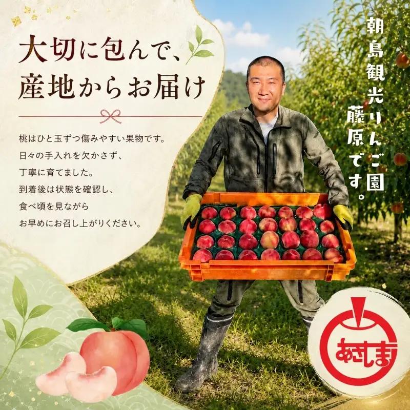 【先行予約】 桃あかつき約1.7kg(5~7個)【8月上旬～順次発送】【asashima001】