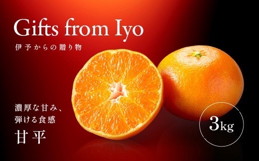 【2027年先行予約】甘平 みかん 愛媛 約3kg M～3Lサイズ混合 数量限定 先行予約 柑橘 伊予市【2月上旬から順次発送予定】｜B553