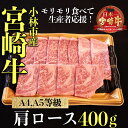 【ふるさと納税】【モリモリ応援】A4等級以上宮崎牛おためしモリモリ肩ロース（焼肉用）