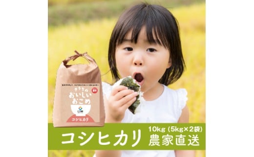 新米【令和7年産】無洗米 コシヒカリ 10kg (5kg×2) 稲敷市産 農家直送｜米 こめ コメ ごはん ご飯 [1732]
