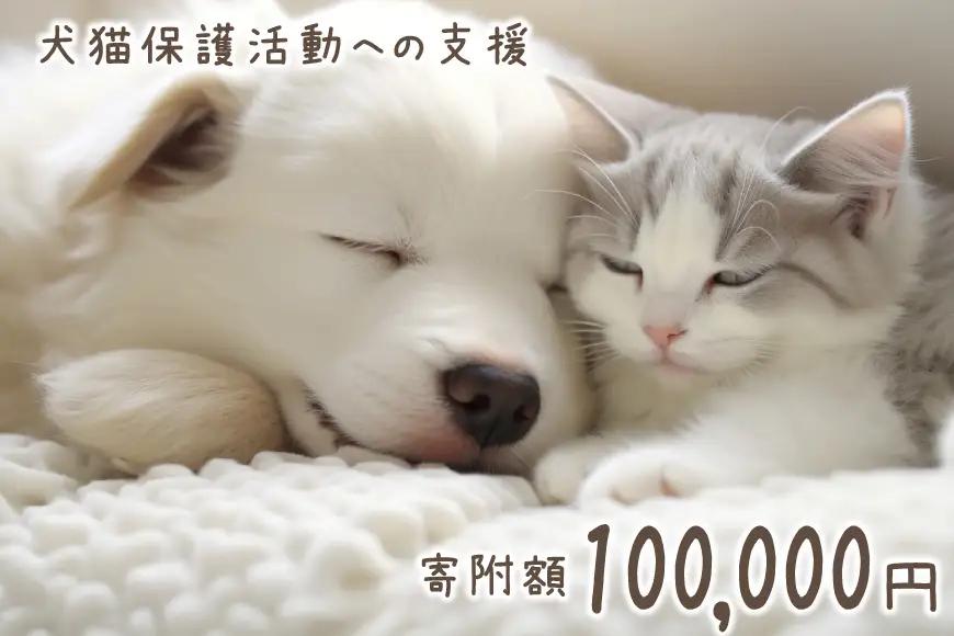 犬猫保護活動への支援 10万円