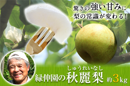 熊本県玉東町産『緑伸園』の秋麗梨 期間限定 たっぷり約3kg 5-9玉前後《8月上旬-8月下旬頃出荷》 なし 秋麗 果物 スイーツ フルーツ デザート スムージーにも ｜ブランド梨 人気梨 特産品梨 