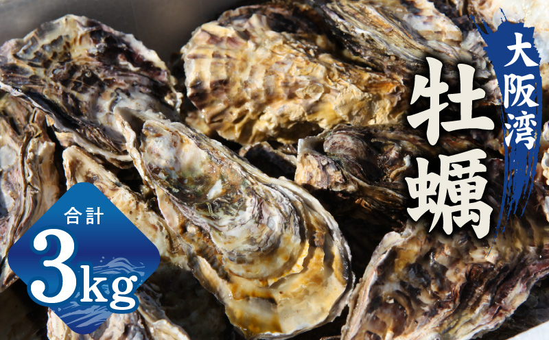 【スピード発送】牡蠣 3kg【かき カキフライ 冷凍 加熱用 殻付き 魚介類 海鮮 大阪湾 産地直送 大阪 泉佐野 大阪府 泉佐野市】
