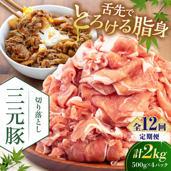 【ふるさと納税】【全12回定期便】北海道 平田牧場 切り落とし 2kg (500g×4P) 《喜茂別町》【平田牧場】 肉 豚肉 生姜焼き 小分け 冷凍 冷凍配送 定期便 定期 北海道 平田牧場 三元豚 [AJAP037] 240000 240000円 24万円