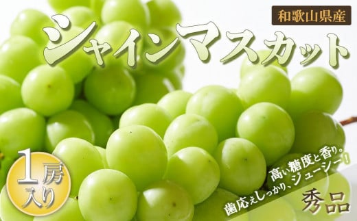 シャインマスカット 1房（600g以上）【2024年8月中旬以降出荷】【MG24】