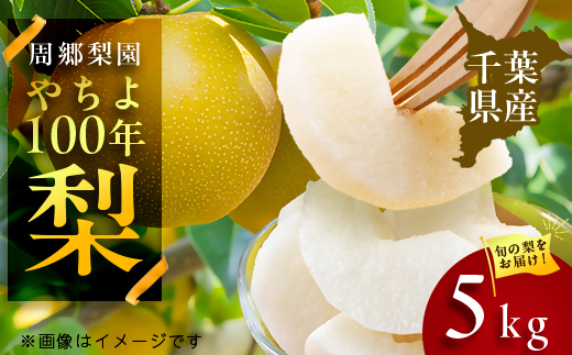 
            2026年発送先行受付 周郷梨園のやちよ100年梨(5kg)【1493888】
          